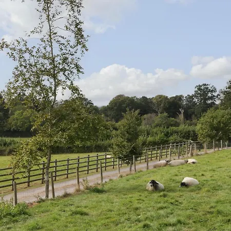 Tatil Evi The Barn Bristol